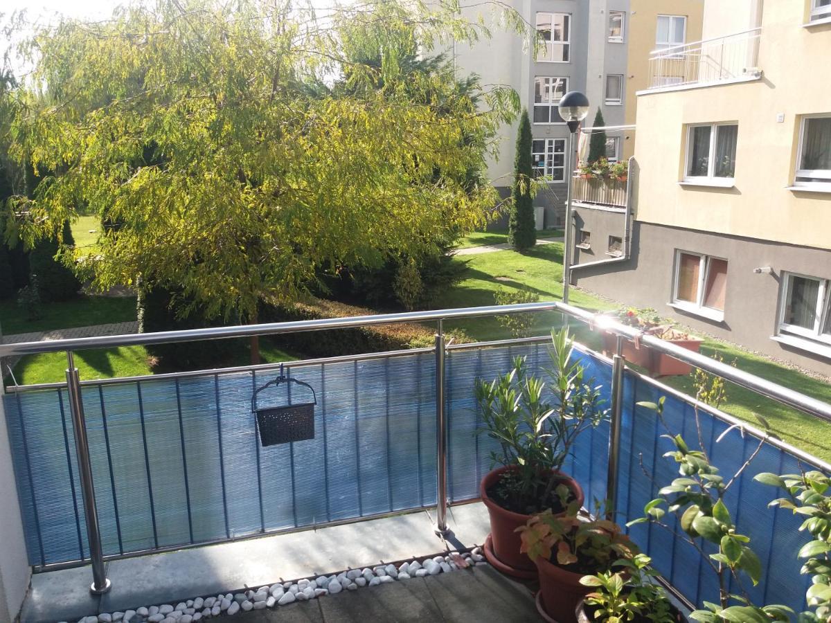 Avantgarden1 .Apartament Lux براشوف المظهر الخارجي الصورة